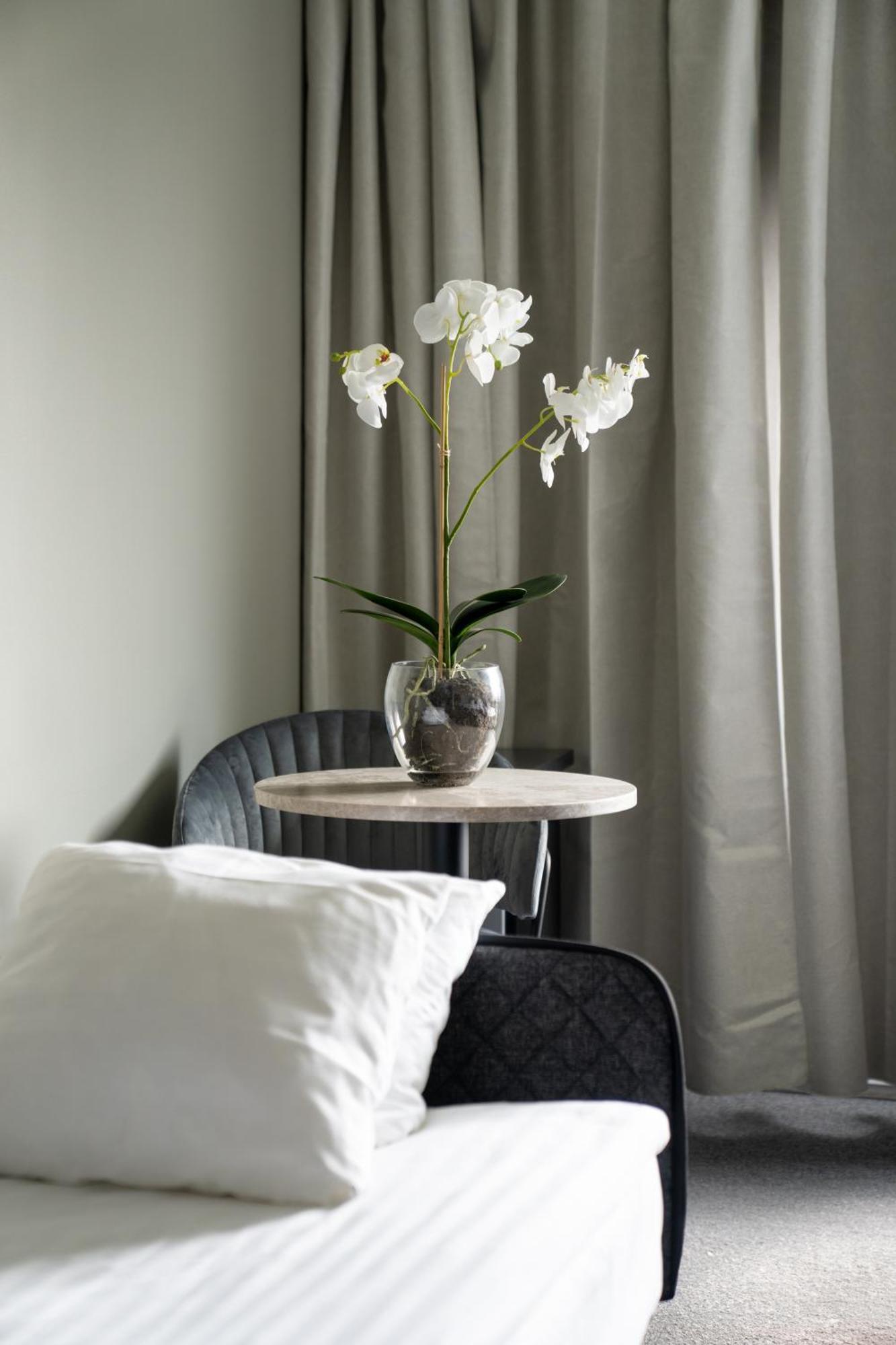 Vici Hotel 3*